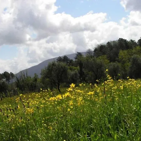 A Casa Di Antonio Guest house *