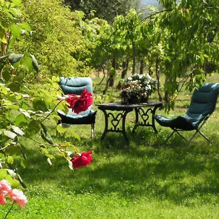 Guest house A Casa Di Antonio *